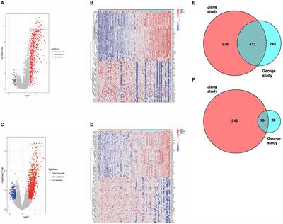 CCL5 as a Prognostic Marker for Survival and an Indicator for Immune Checkpoint Therapies in Small Cell Lung Cancer